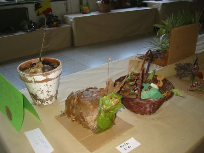 Pulsar para ver a imaxen orixinal