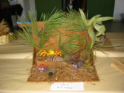 Pulsar para ver a imaxen orixinal