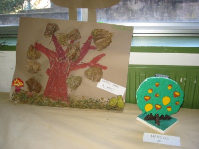 Pulsar para ver a imaxen orixinal