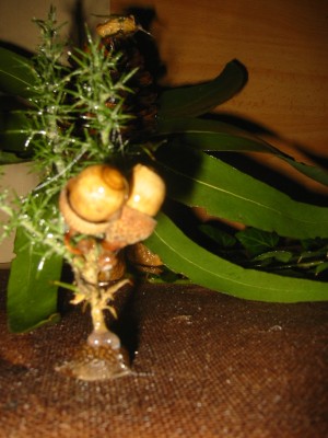 Pulsar para ver a imaxen orixinal