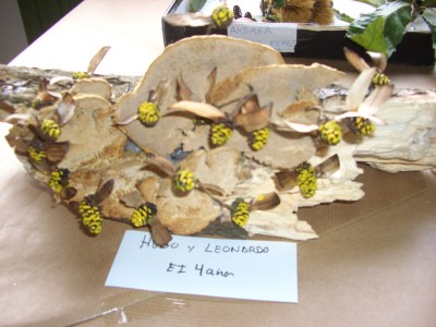 Pulsar para ver a imaxen orixinal