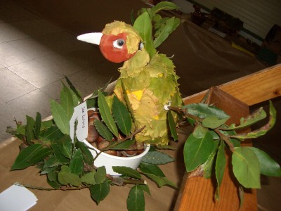 Pulsar para ver a imaxen orixinal