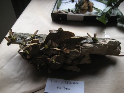 Pulsar para ver a imaxen orixinal