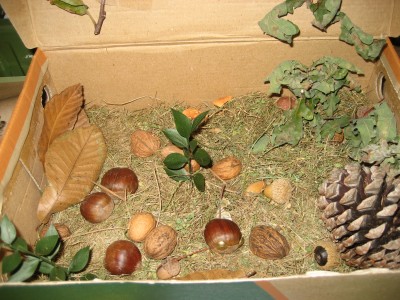 Pulsar para ver a imaxen orixinal