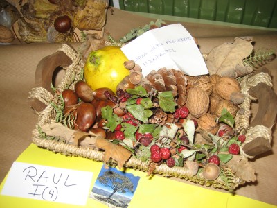 Pulsar para ver a imaxen orixinal