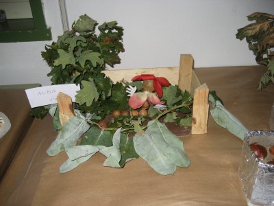 Pulsar para ver a imaxen orixinal