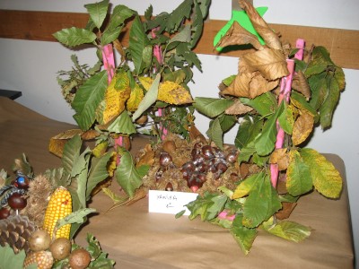 Pulsar para ver a imaxen orixinal