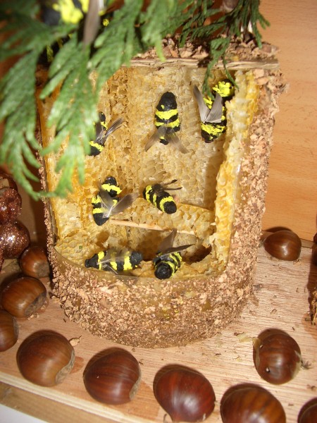 Pulsar para ver a imaxen orixinal