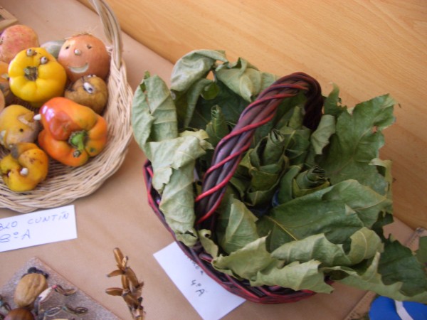 Pulsar para ver a imaxen orixinal