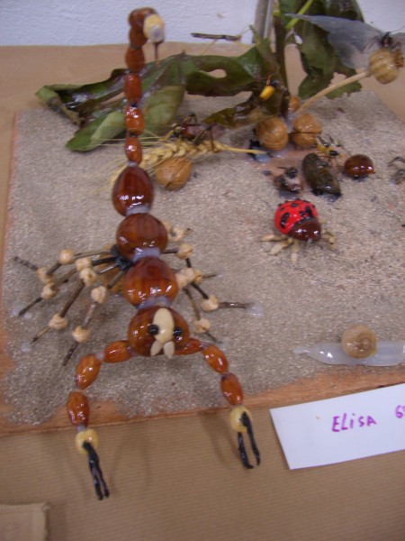 Pulsar para ver a imaxen orixinal