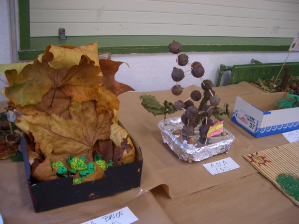 Pulsar para ver a imaxen orixinal