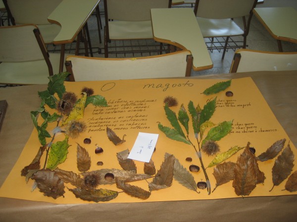 Pulsar para ver a imaxen orixinal