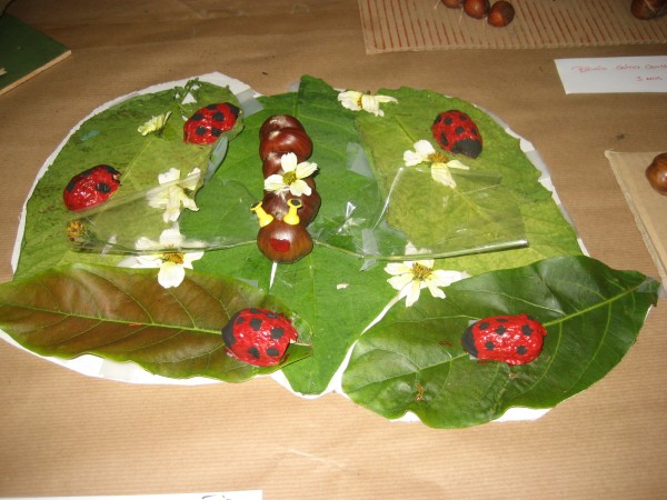 Pulsar para ver a imaxen orixinal