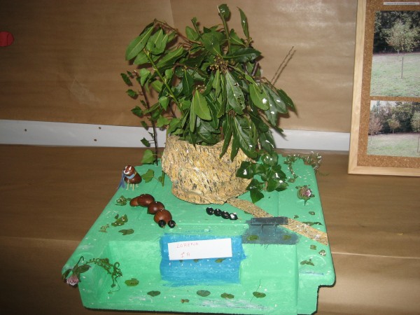 Pulsar para ver a imaxen orixinal