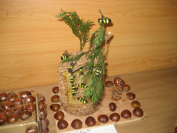 Pulsar para ver a imaxen orixinal