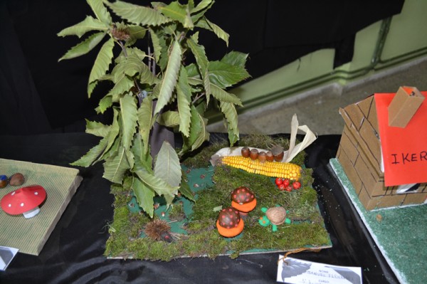 Pulsar para ver a imaxen orixinal