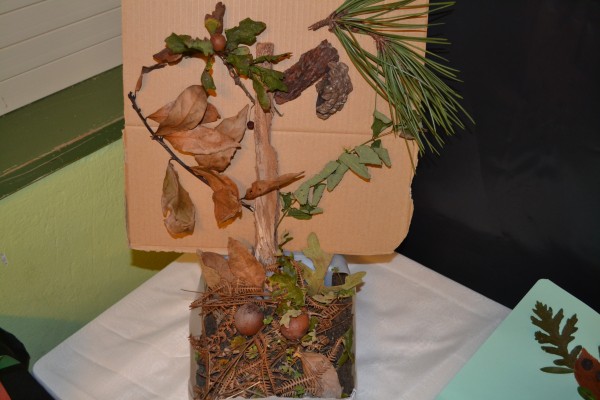 Pulsar para ver a imaxen orixinal