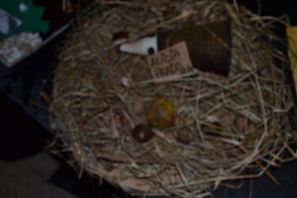 Pulsar para ver a imaxen orixinal