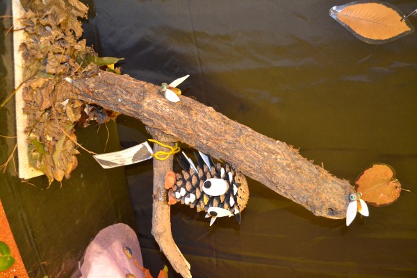 Pulsar para ver a imaxen orixinal