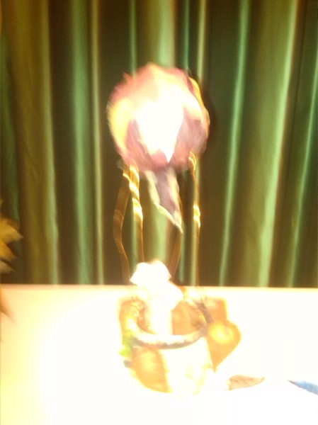 Pulsar para ver a imaxen orixinal