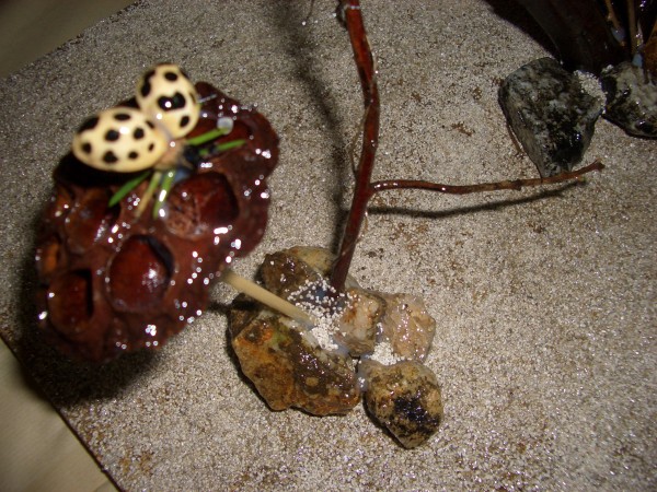 Pulsar para ver a imaxen orixinal