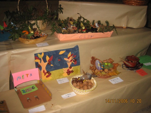 Pulsar para ver a imaxen orixinal