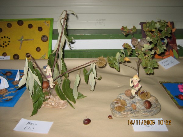 Pulsar para ver a imaxen orixinal