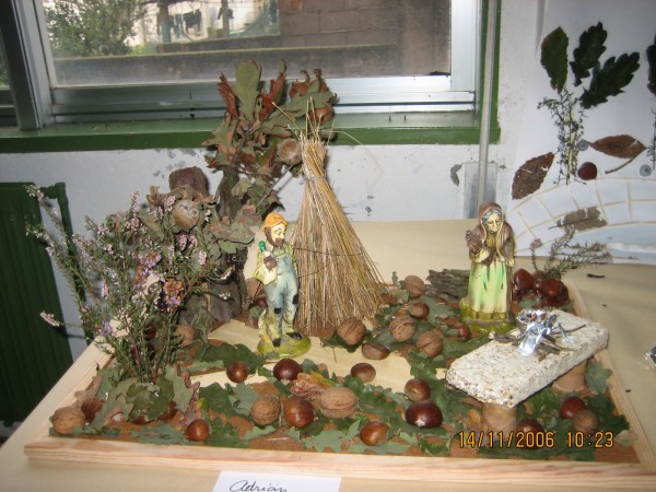 Pulsar para ver a imaxen orixinal