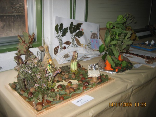 Pulsar para ver a imaxen orixinal