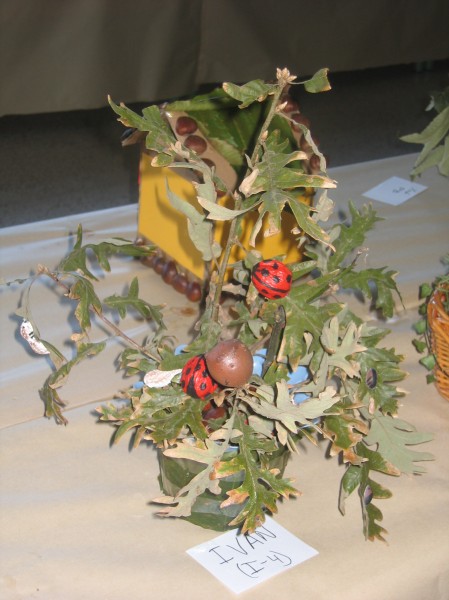 Pulsar para ver a imaxen orixinal