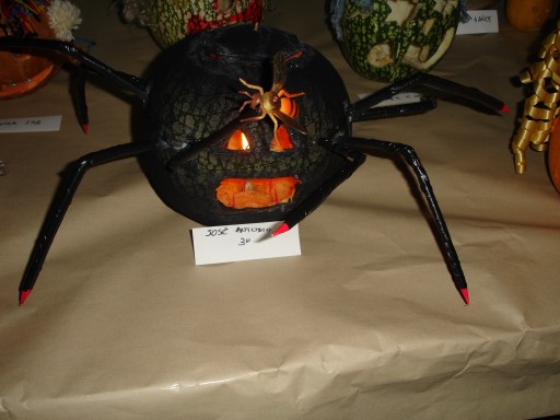 Pulsar para ver a imaxen orixinal