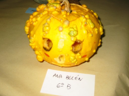 Pulsar para ver a imaxen orixinal