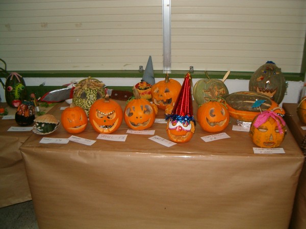 Pulsar para ver a imaxen orixinal