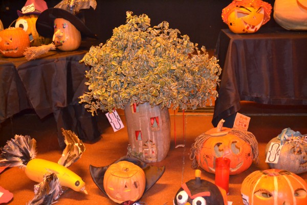 Pulsar para ver a imaxen orixinal