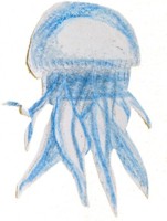 La medusa se deja llevar por la corriente