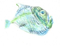 El pex hacha es claro y afilado como un hacha