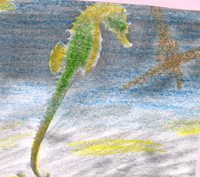 Yo soy un caballito de mar y vivo en un acuario. Mi cabeza es como la de un caballo.Mi cuerpo es duro y est&aacute; cubierto por l&aacute;minas de huesecillos. Nado en posici&oacute;n vertical, golpeando mi aleta dorsal. Cuando quiero cambiar de direcci&oacute;n, s&oacute;lo tengo que girar mi cabeza.