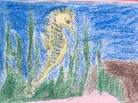 Normalmente vivimos en el mar, cerca de la costa. Cuando estamos buscando alimento, nosotros podemos quedarnos completamente quietos. El movimiento de nuestros ojos es lo &uacute;nico que nos delata. Si nosotros queremos pasar inadvertidos, nosotros cambiamos de color: cuando estamos entre algas verdes, cambiamos a verde.