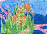 Mi nombre cient&iacute;fico es Hippocampus hippocampus, y yo nac&iacute; en el Mar Mediterr&aacute;neo. Cuendo llega nuestra &eacute;poca de reproducci&oacute;n, nosotros, los caballitos de mar machos, empezamos a preparar nuestras bolsas. Las hembras expulsan sus huevos dentro de nuestras bolsas. Los machos tienen que proteger y guardar los huevos hasta que nazcan los beb&eacute;s.