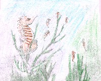 Este caballito de mar macho est&aacute; expulsando a sus beb&eacute;s.