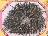 Yo me alimento de algas, plantas marinas y animales diminutos. Cojo la comida con mis u&ntilde;as y la llevo a mi boca.