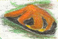 Hay mejillones machos y mejillones hembras. El cuerpo de una hembra es naranja; el cuerpo de un macho es amarillo o blanco. Para reproducir, los mejillones machos y hembras expulsamos nuestros productos sexuales dentro del agua. Alrededor de veinte d&iacute;as m&aacute;s tarde, los huevos fertilizados se desenvuelven en larvas que nadan libremente. A las estrellas de mar le gustan mucho los mejillones.