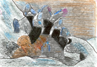 Yo soy un percebe. Mi nombre cient&iacute;fico es Pollicipes Cornucopia. Mi cuerpo es un tallo carnoso que est&aacute; unido a la roca por su base. El resto est&aacute; dentro de una especie de u&ntilde;a. Los percebes viven fomando grandes colonias en lugares donde las olas rompen fuerte.