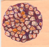 El pulpo a la gallega, est&aacute; siempre presente en las fiestas anuales de todas las ciudades de Galicia.