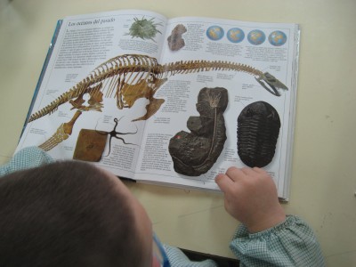 Pulsar para ver a imaxen orixinal