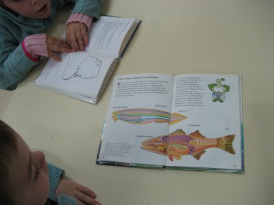 Pulsar para ver a imaxen orixinal