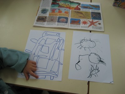 Pulsar para ver a imaxen orixinal