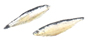 Sardines