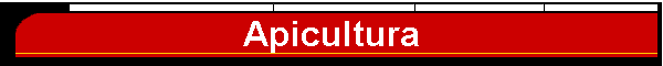 Apicultura