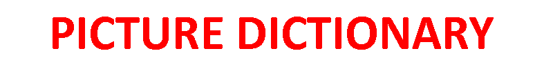 Imaxe co texto: Picture Dictionary